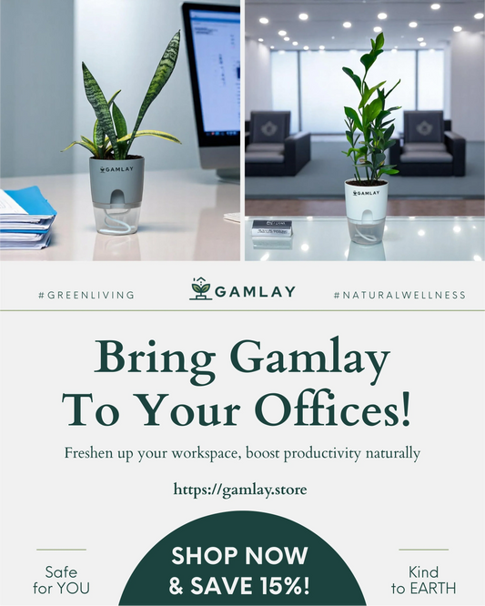 Gamlay self-watering indoor plants on office desks promoting eco-friendly corporate gifting in Pakistan – ideal for productivity and workspace aesthetics