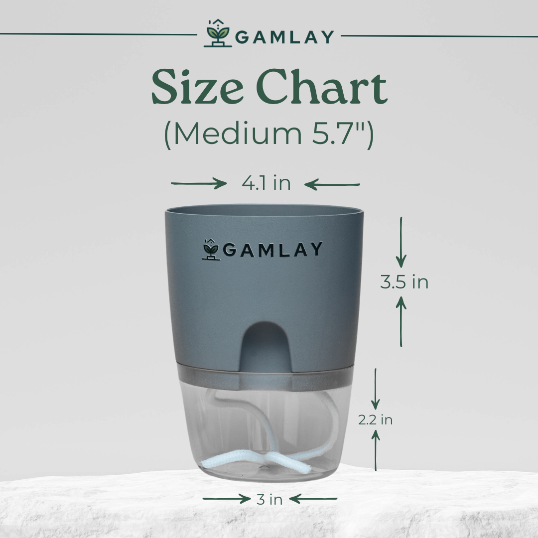 Size Guide for Self Watering Pots Medium 5.7' Inches